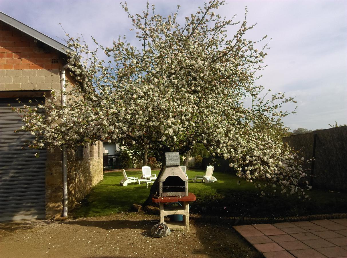 Aux 3 Loups Apartment Chatenois  Exterior photo